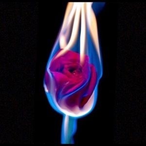 Meet your Posher, Helen